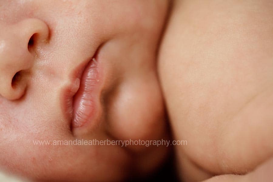 Newborn Triplet Photography Pensacola Newborn Photography