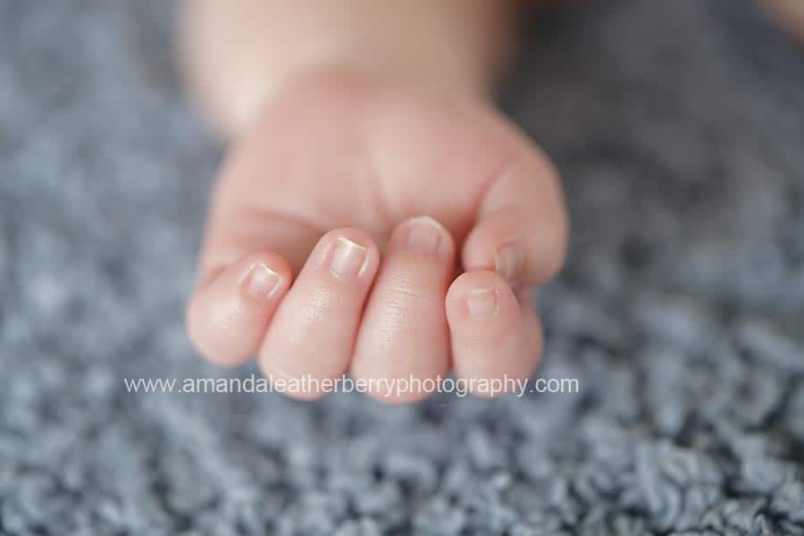 newborn photography pensacola