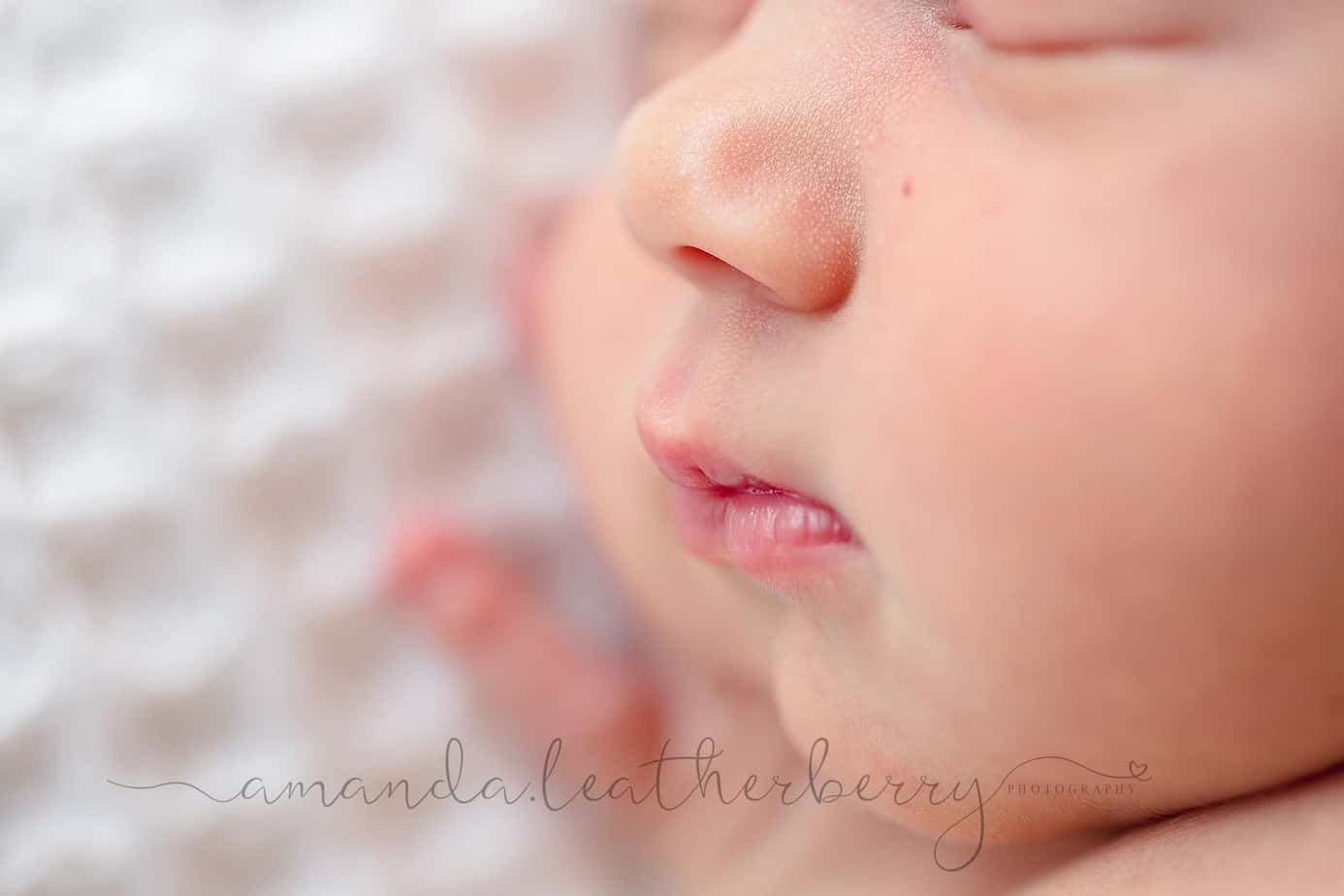 Top Pensacola Newborn Photographer - Newborn Portrait Photography
